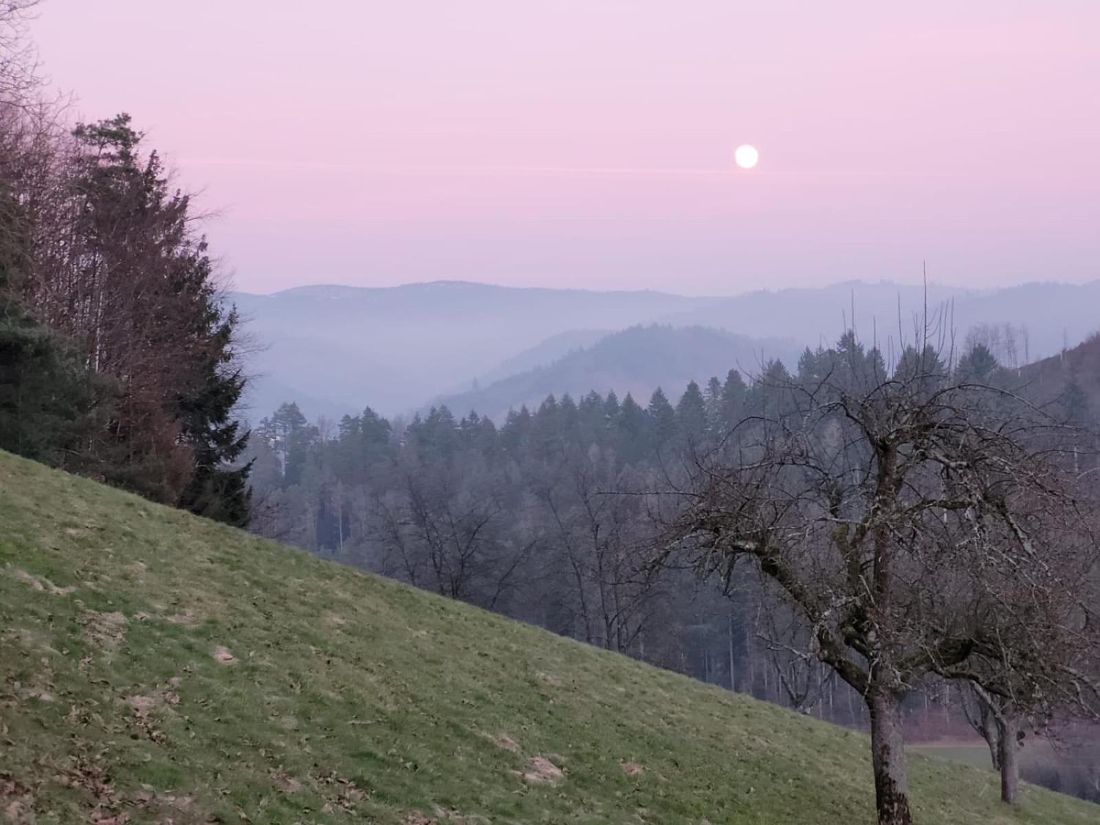 Am Boulevard Gengenbach Exteriér fotografie
